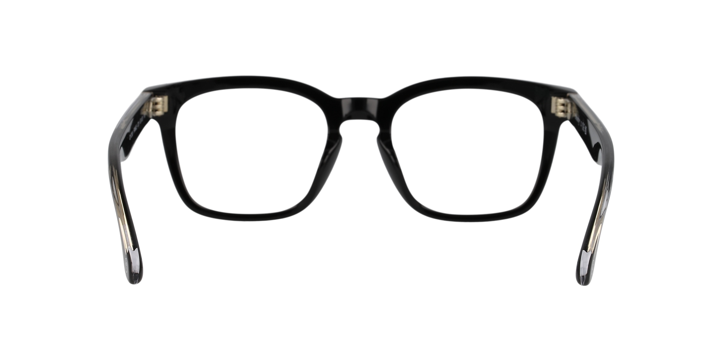 Clearly Glasses FRINGE