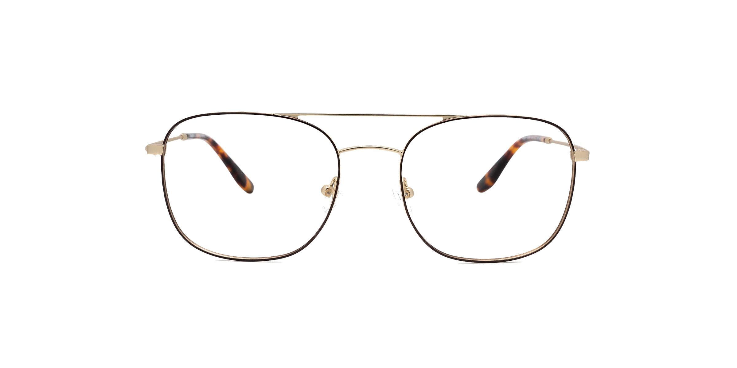 Clearly Glasses ROGEN