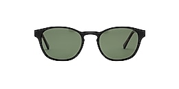 clearly Sunglasses suntropical