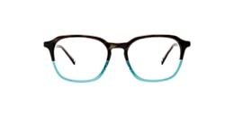 clearly Glasses carina