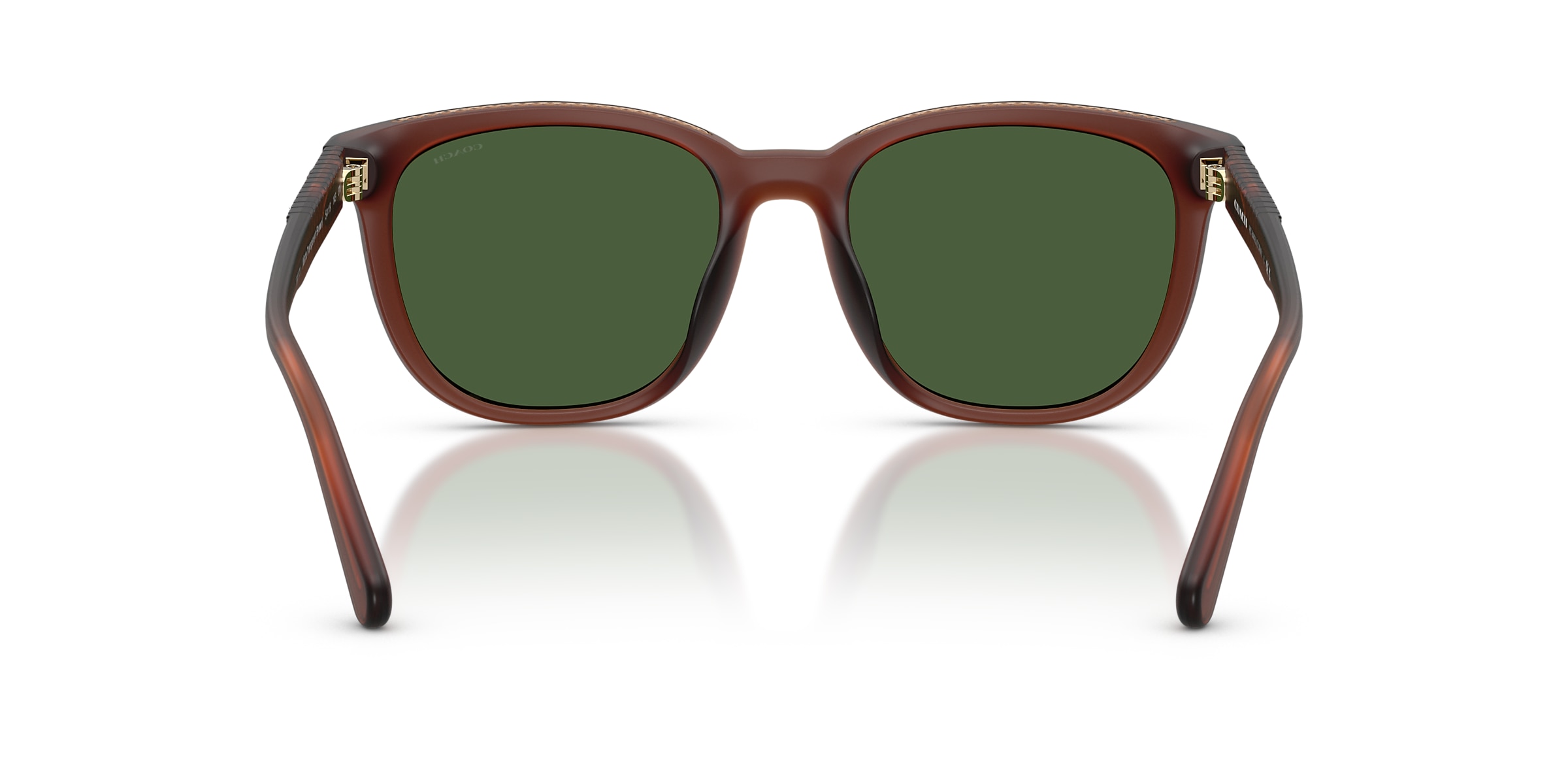 Coach Sunglasses HC8442U CCA00