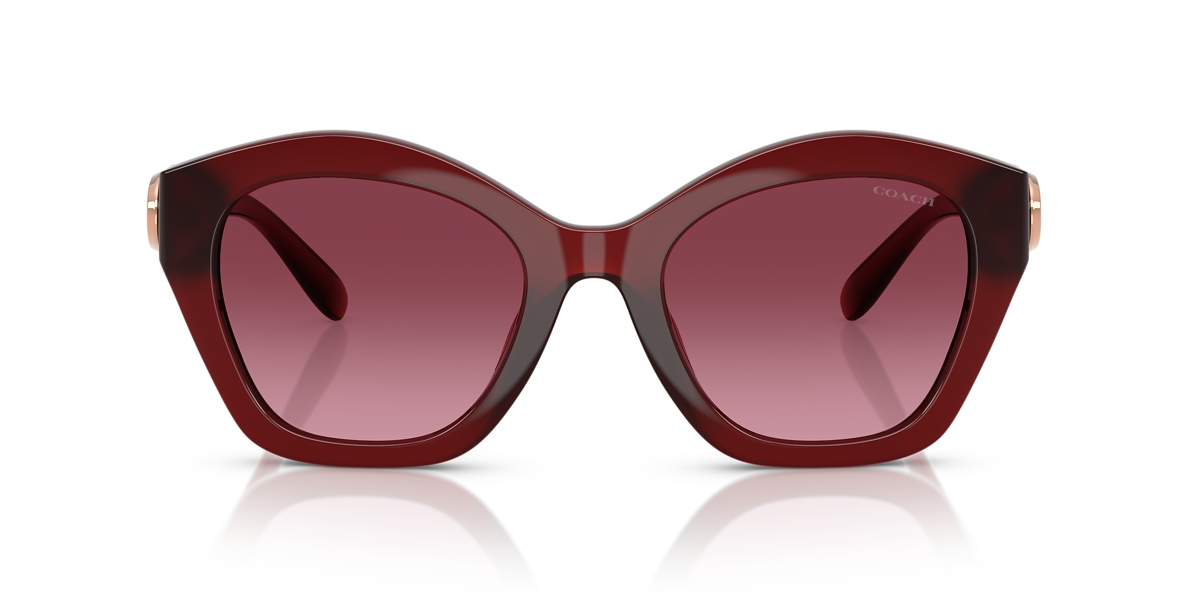 Coach Sunglasses HC8421U CAD31