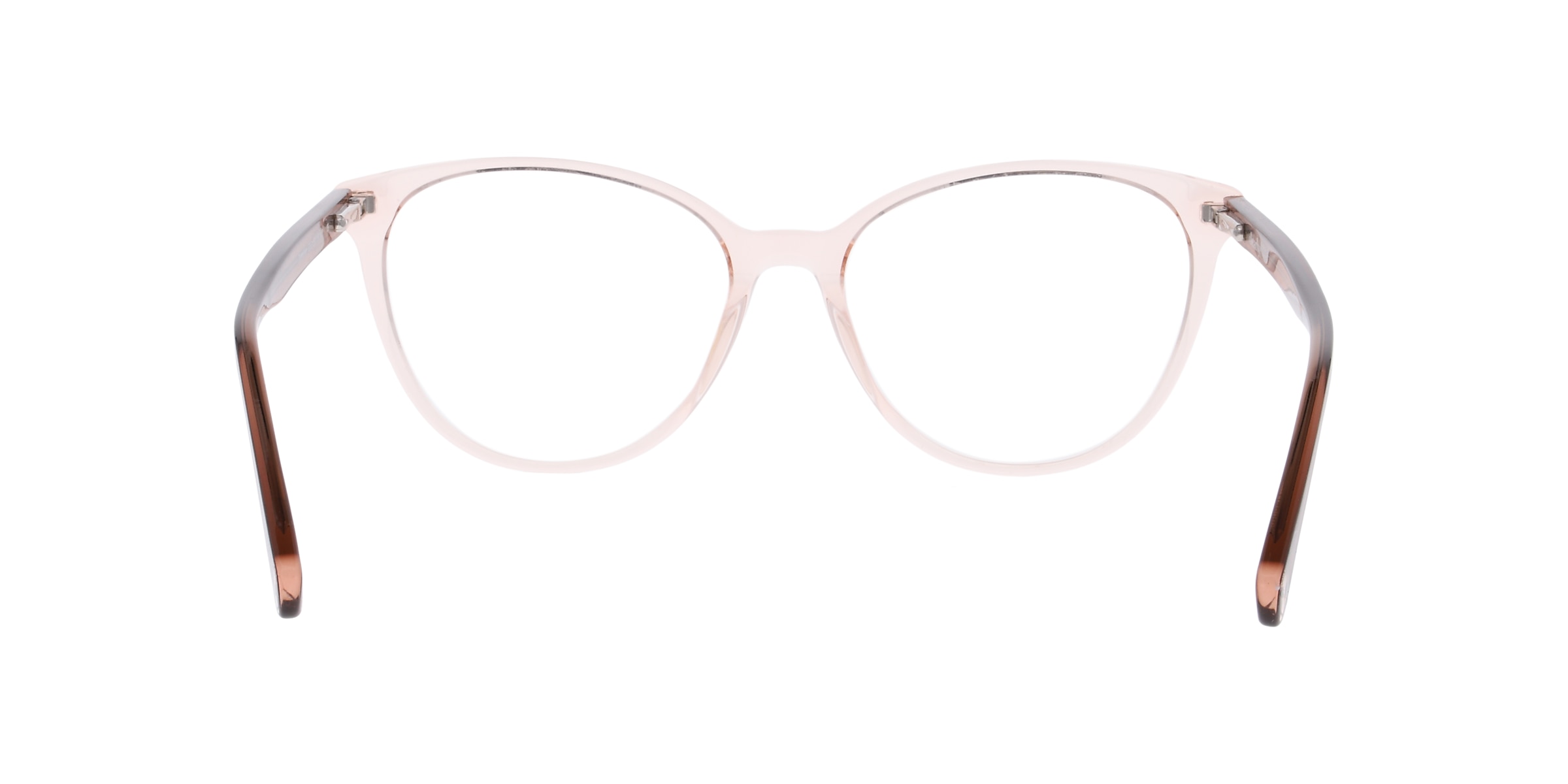 Clearly Glasses CAMPHOR