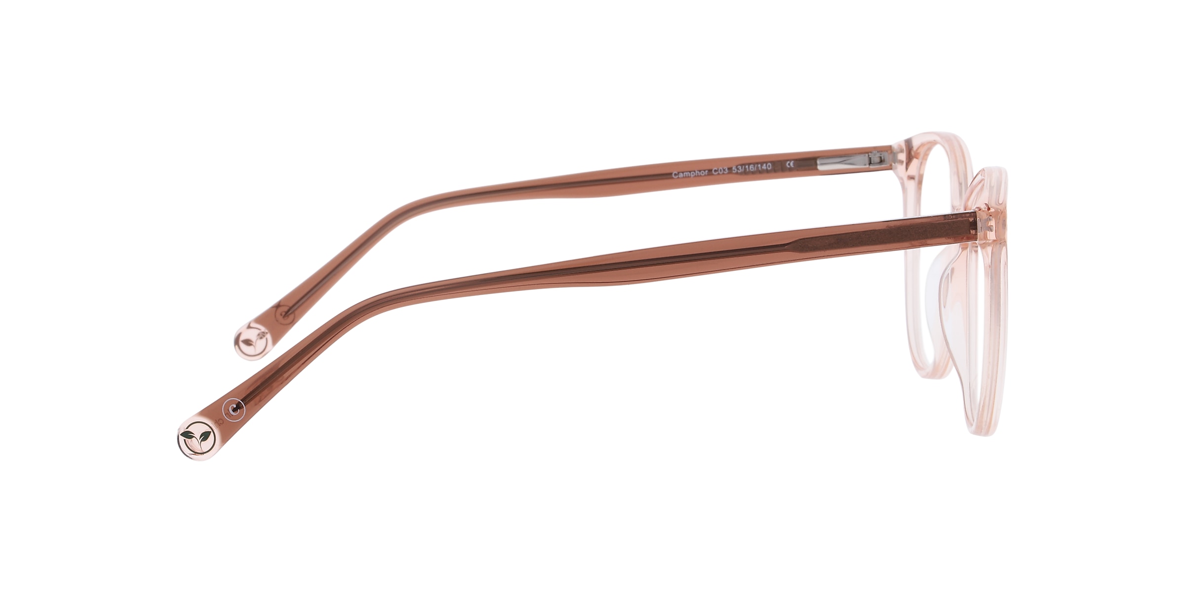 Clearly Glasses CAMPHOR