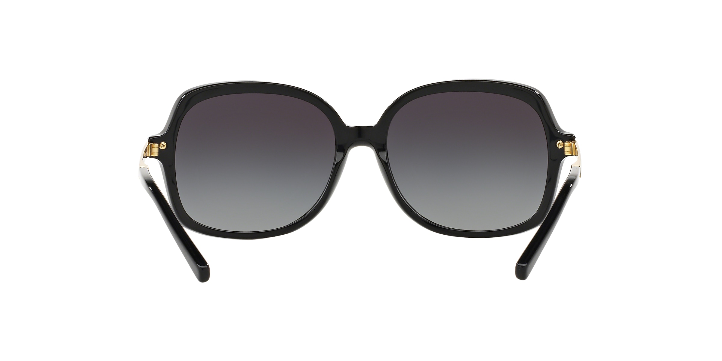 Michael Kors Sunglasses MK2024 ADRIANNA II