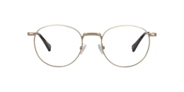 clearly Glasses lodgepole