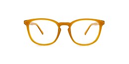 reincarnate Glasses monarch