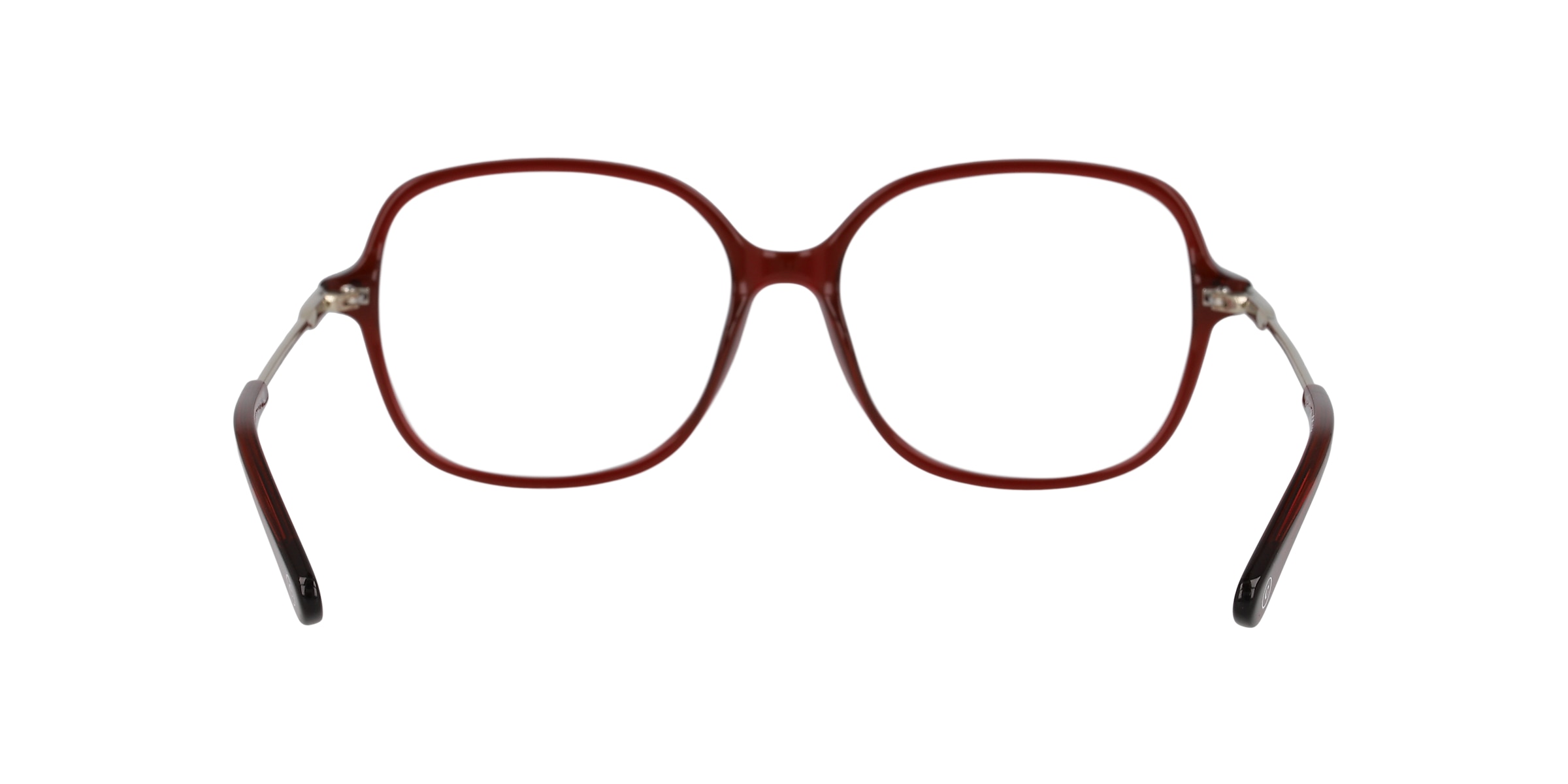 Clearly Glasses ELEPHANT