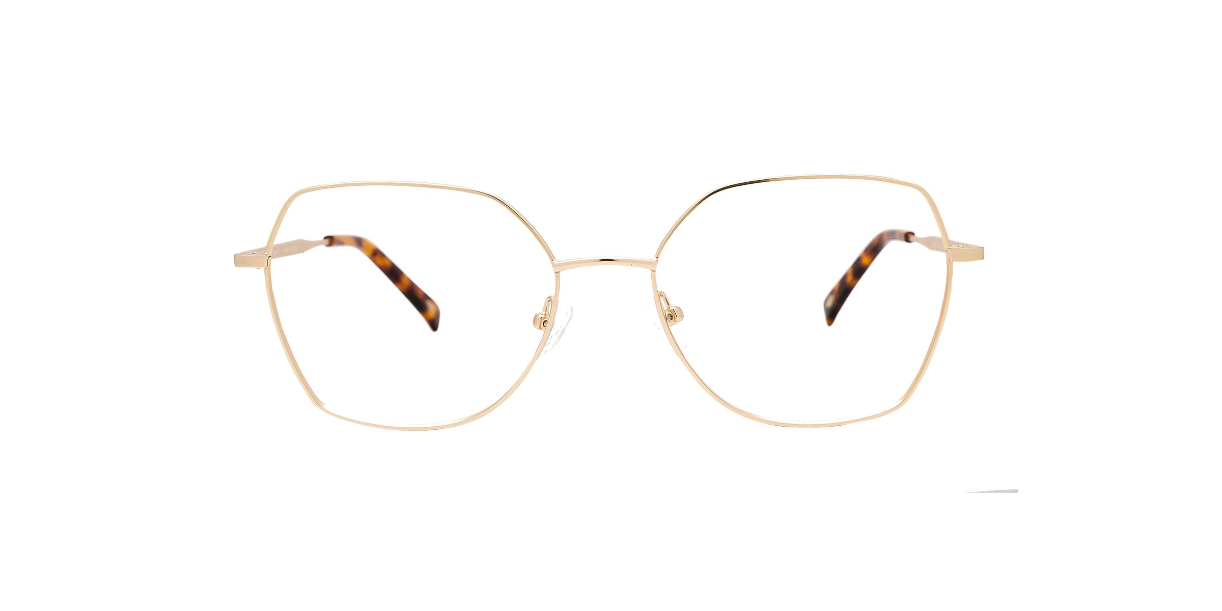 Clearly Glasses HUGHEDEN