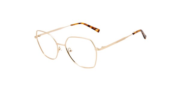 Clearly Glasses HUGHEDEN