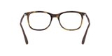 RB7078 OPTICS