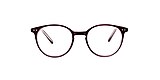 Clearly Glasses SILVER DOLLAR