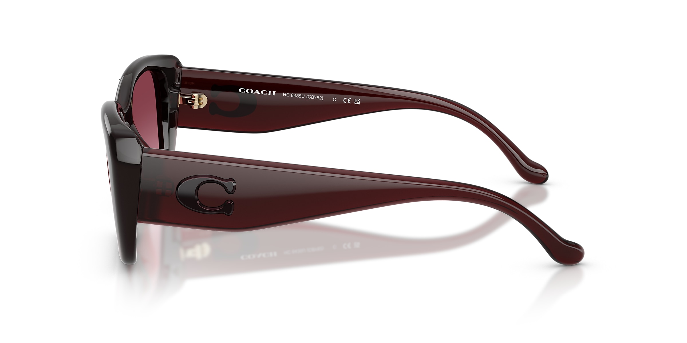 Coach Sunglasses HC8435U CBY82