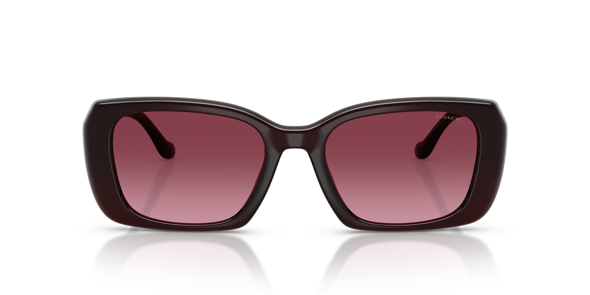 Coach Sunglasses HC8435U CBY82