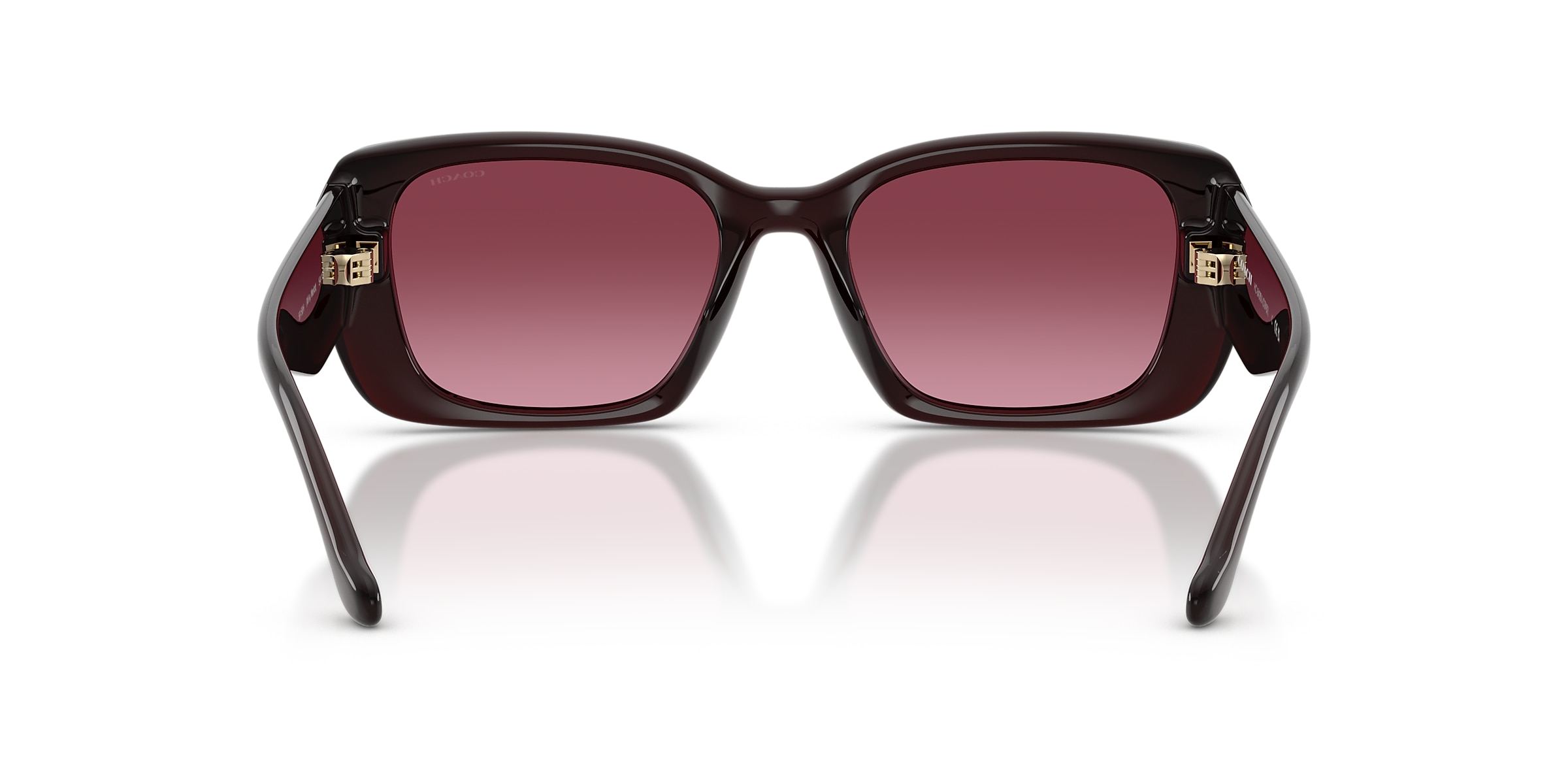 Coach Sunglasses HC8435U CBY82