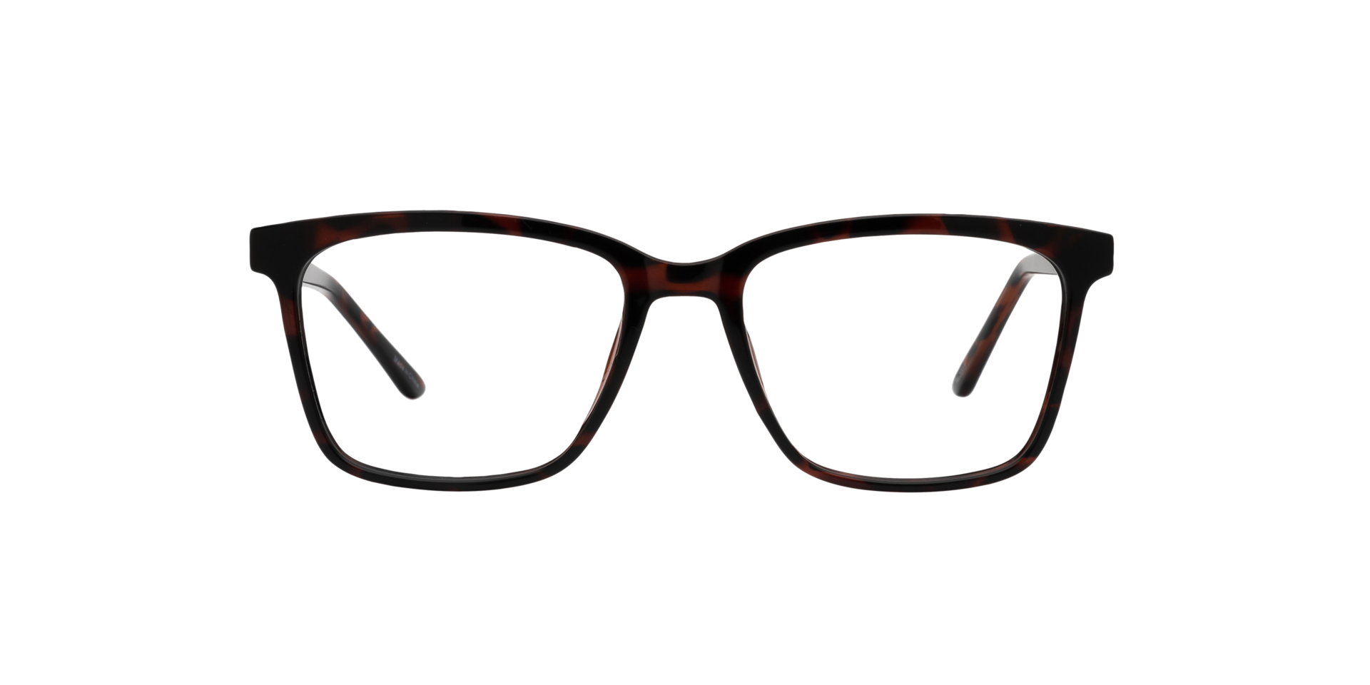 Clearly BURIN Dark Tortoise, Size: XS