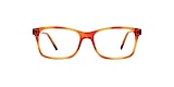 Clearly Glasses TERRENCEVILLE