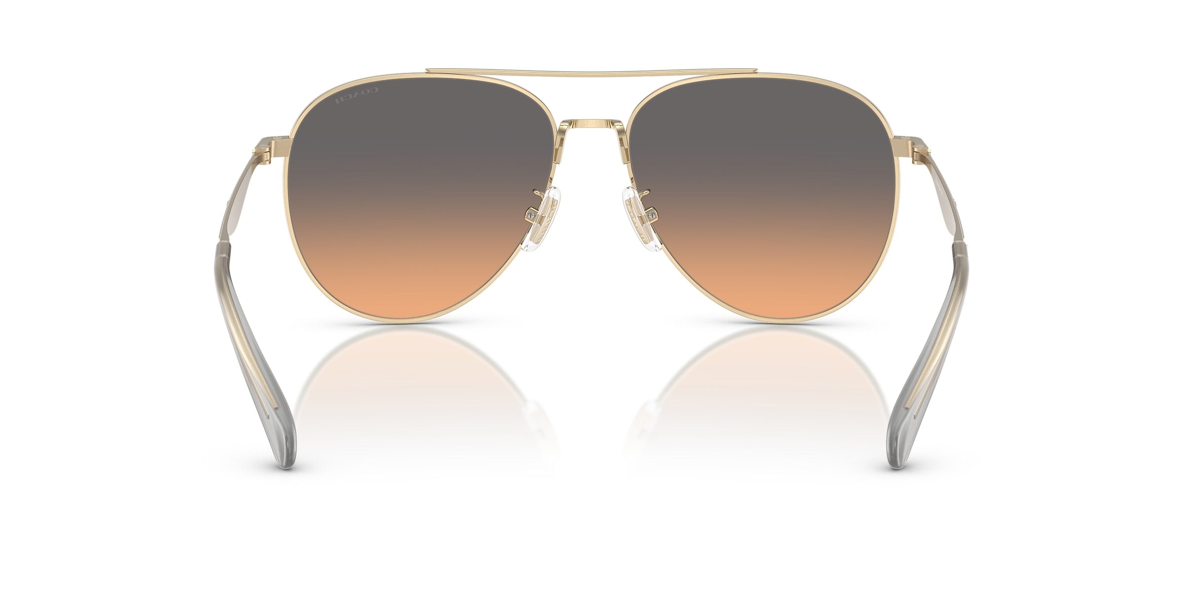 Coach Sunglasses HC7169 CW193