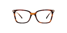 kam dhillon Glasses harriet