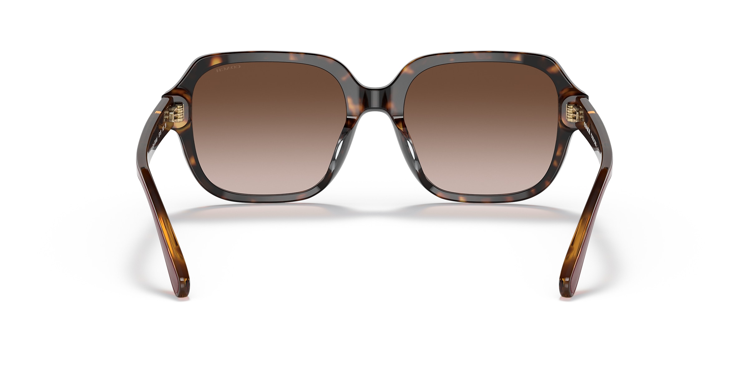 Coach Sunglasses HC8335U C7989