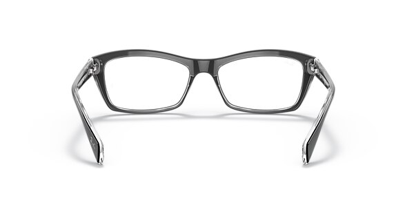 RB5255 OPTICS