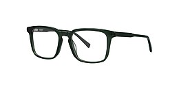 Clearly Glasses GUMWOOD