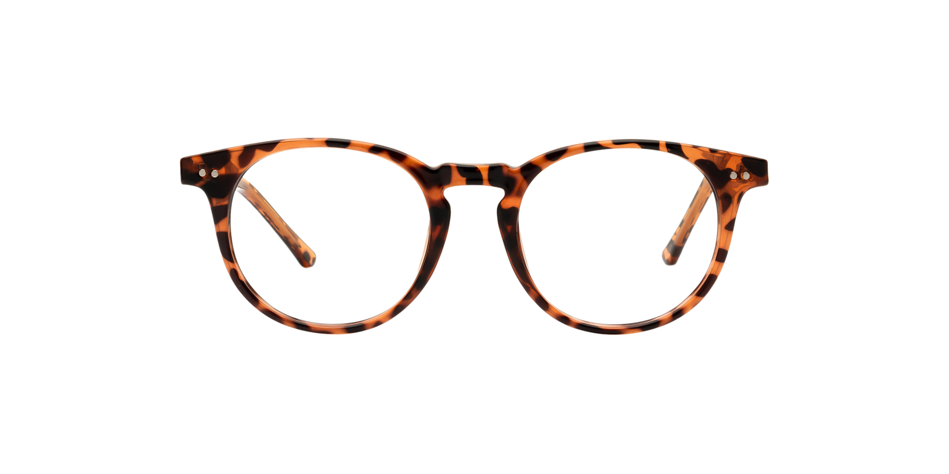 Clearly JOEY Amber Tortoise, Size: XL