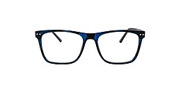 Clearly Glasses OIL002