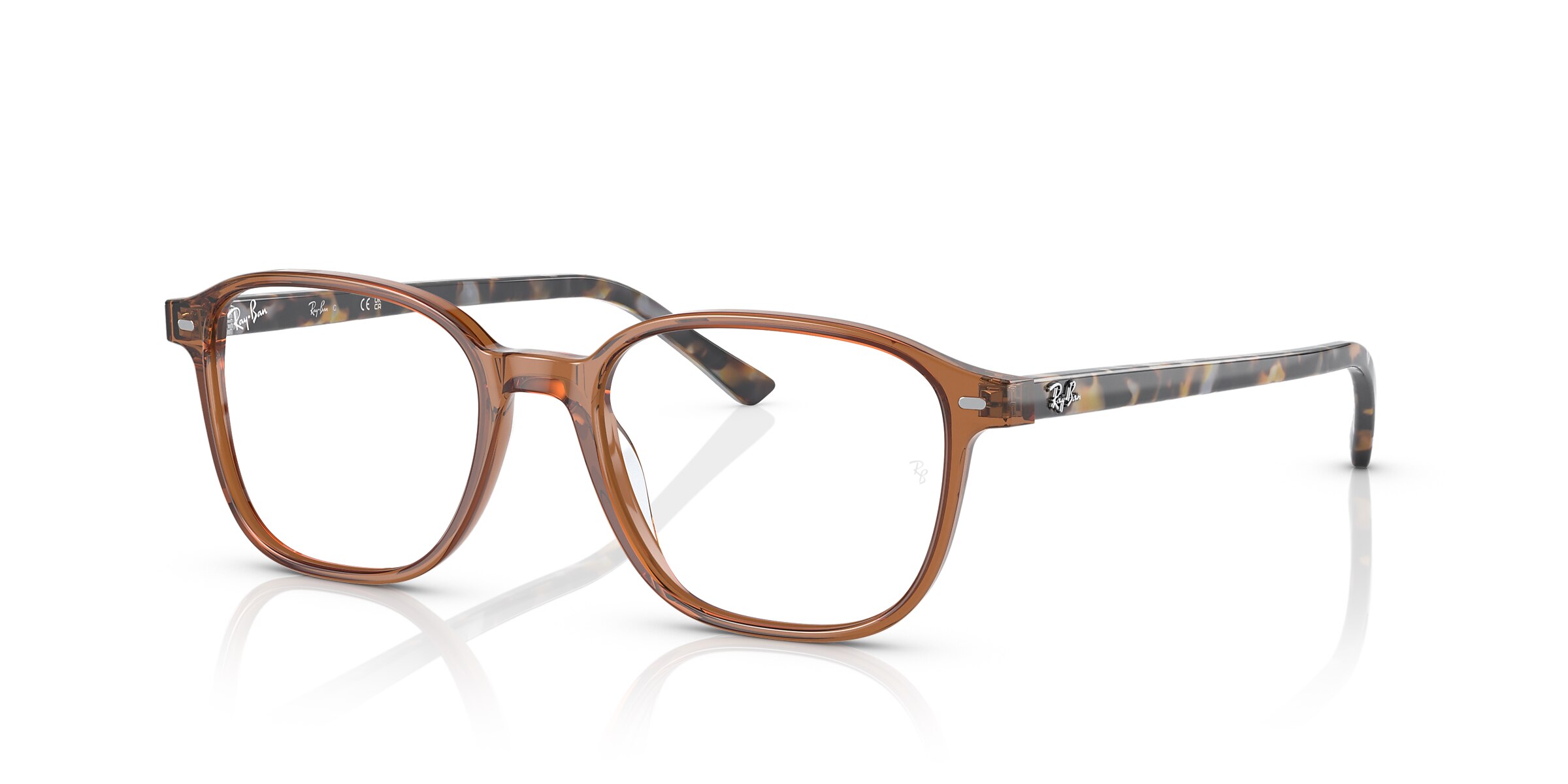 Ray-Ban Glasses RB5393 LEONARD OPTICS
