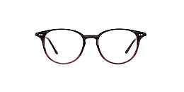kam dhillon Glasses edith
