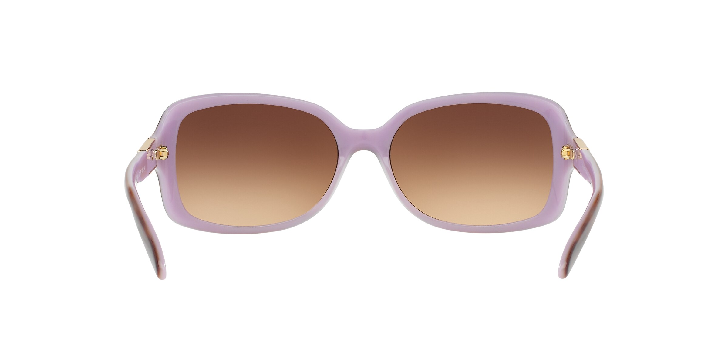 Ralph Sunglasses RA5130