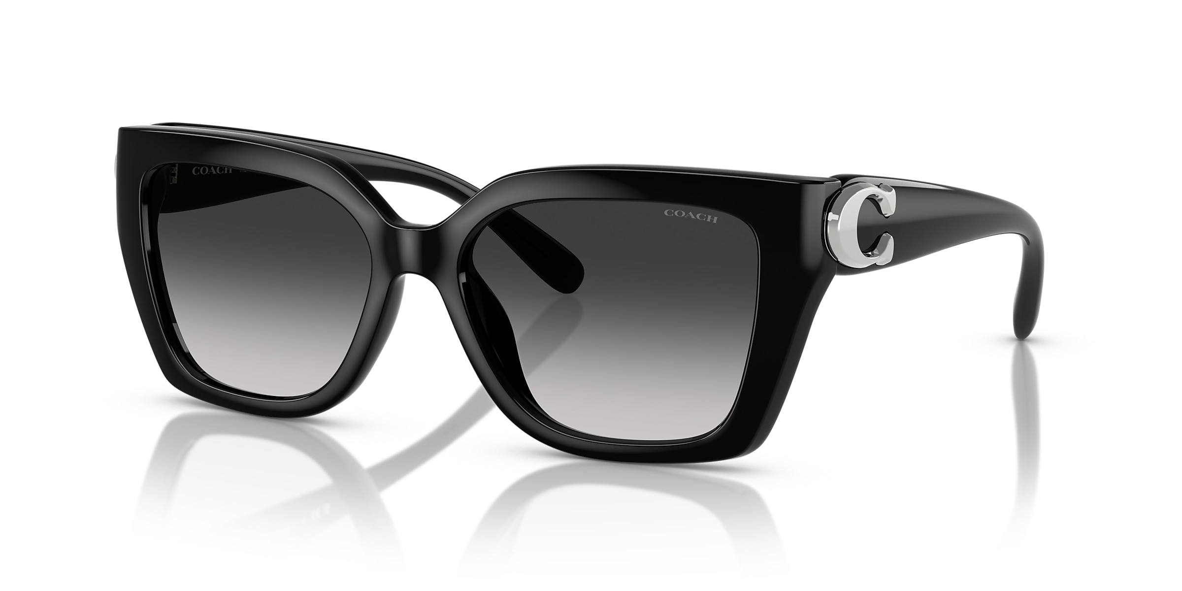 Coach Sunglasses HC8408U CW195