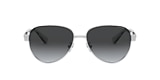 Coach Sunglasses HC7111 L1128