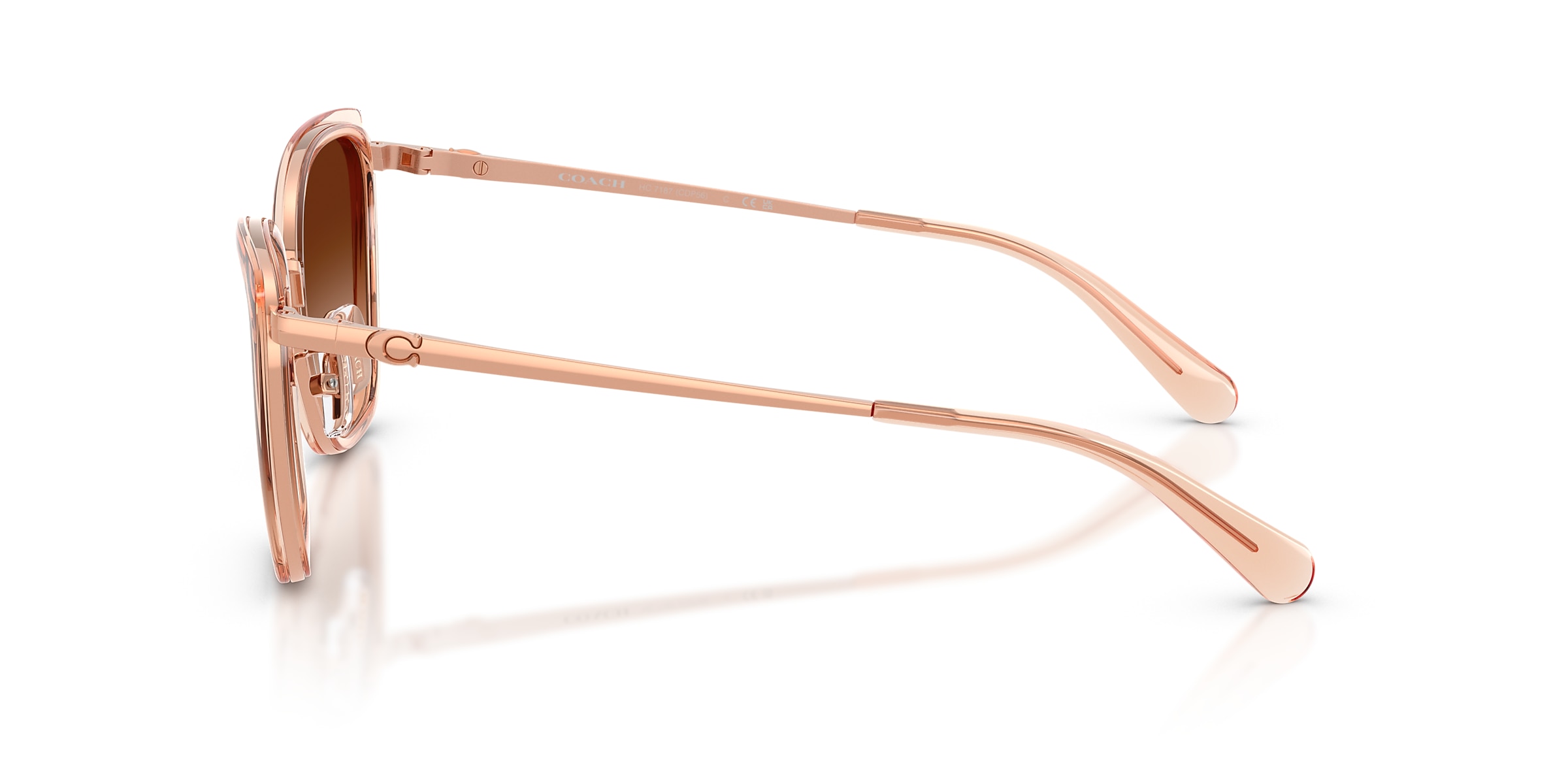 Coach Sunglasses HC7187 CDP56