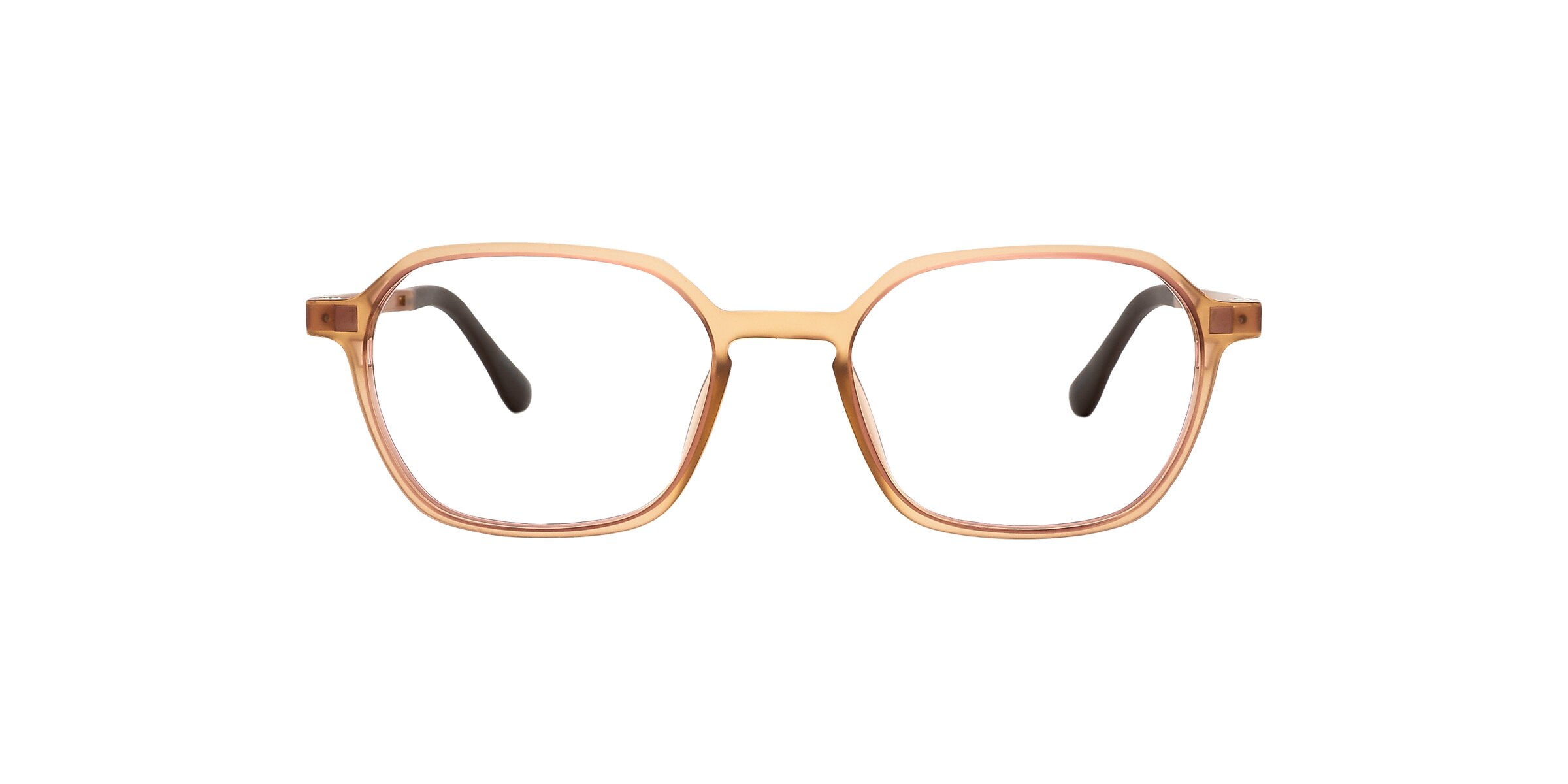 Clearly Sunglasses LACERTA