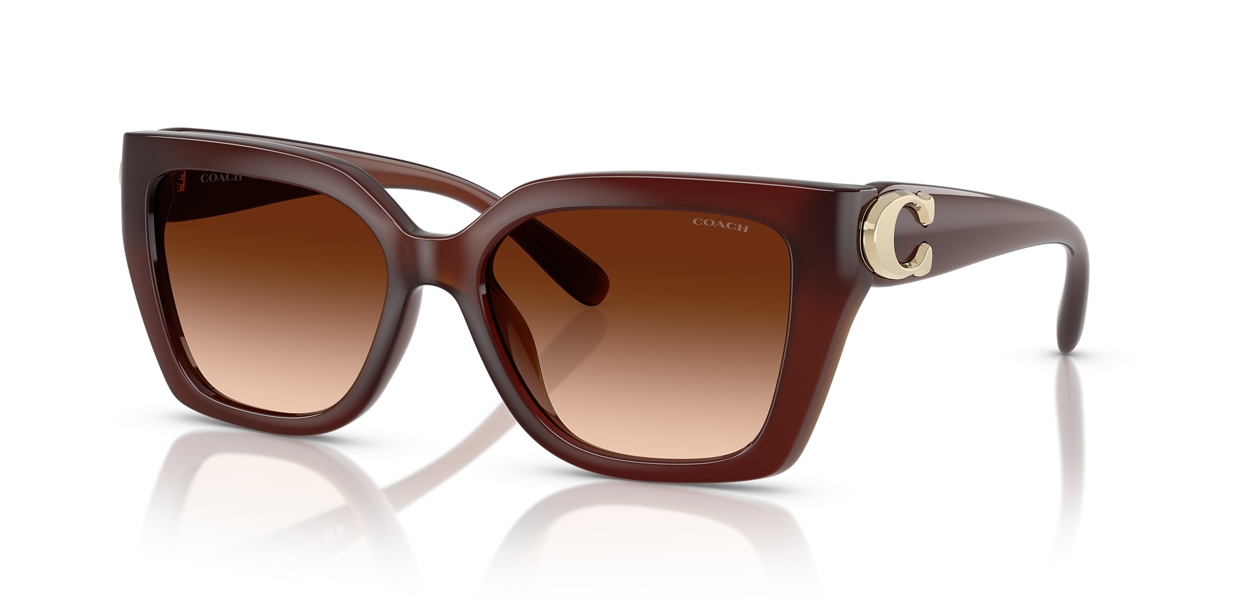 Coach Sunglasses HC8408U CW195