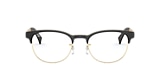 RB6317 OPTICS
