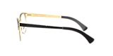 RB6317 OPTICS