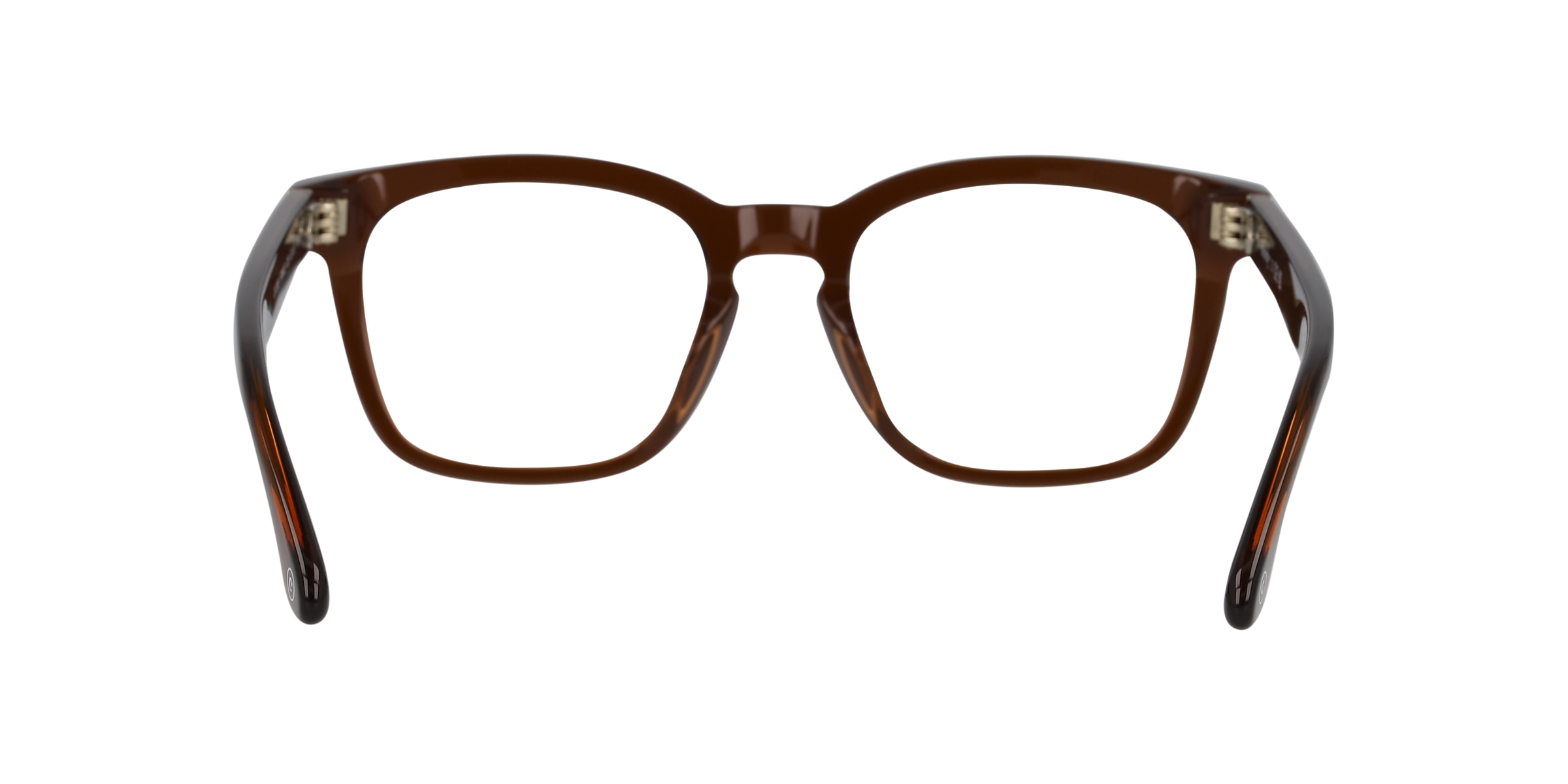 Clearly Glasses FRINGE