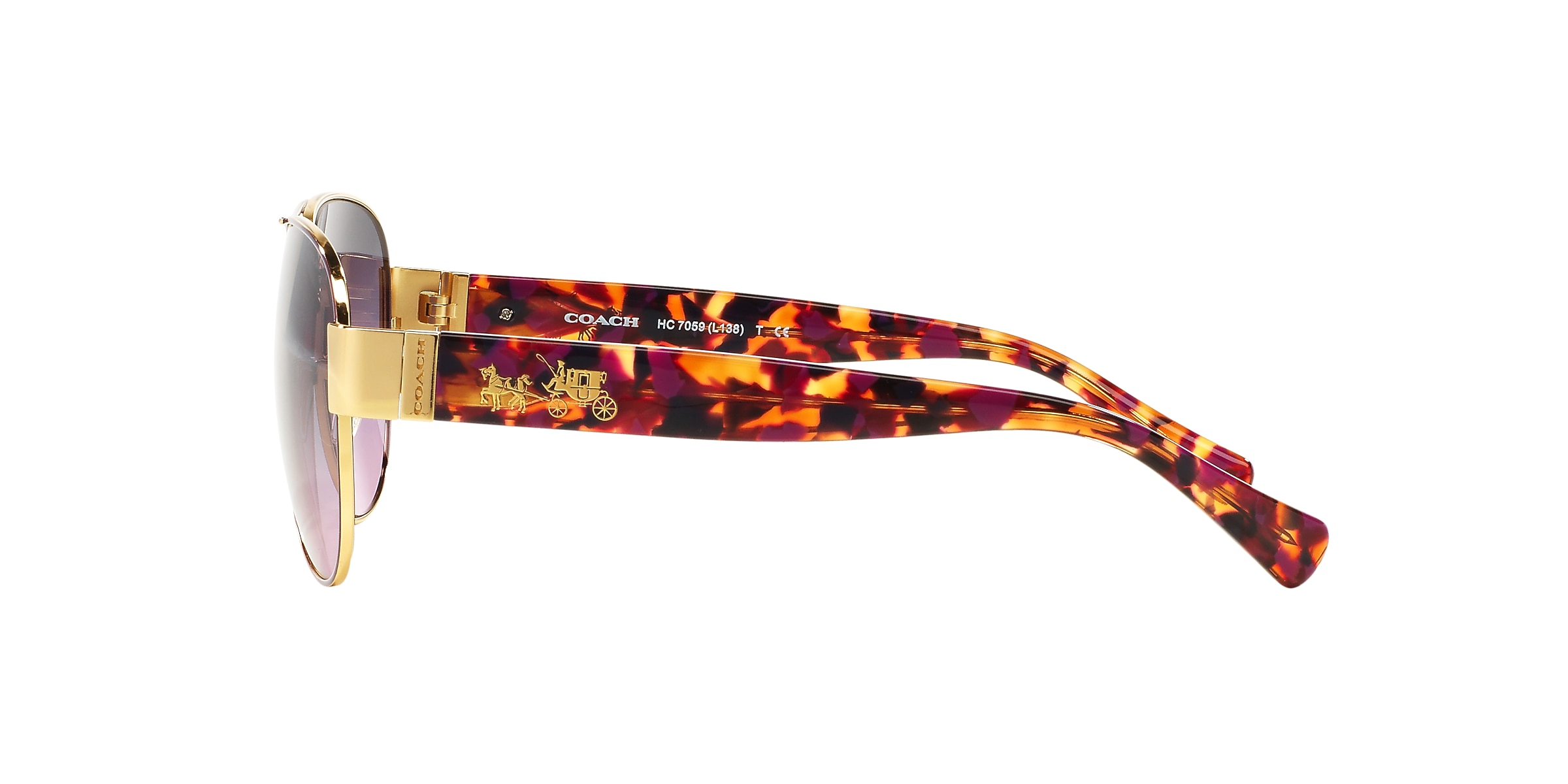 Coach Sunglasses HC7059 L138