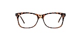 Clearly Glasses HAMILTON
