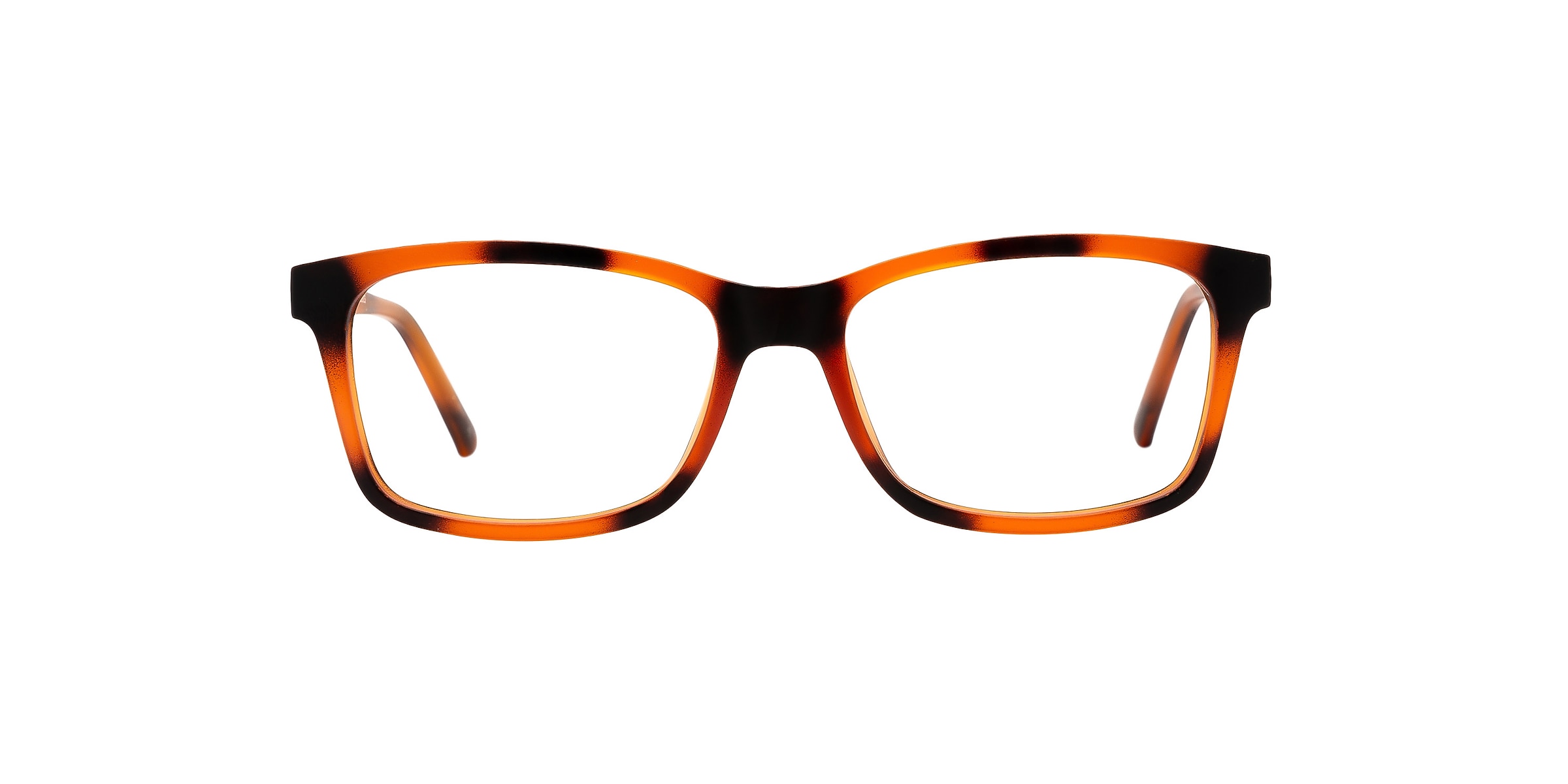 Clearly Glasses TERRENCEVILLE