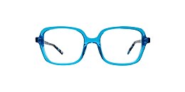 main and central Glasses glebe