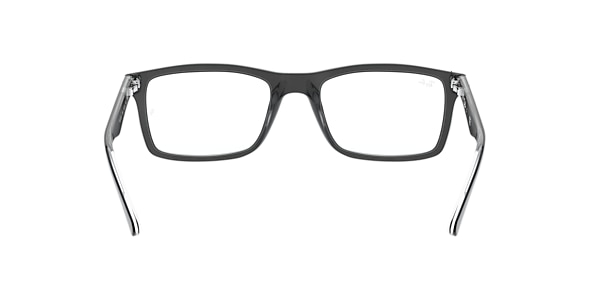 RB5287 OPTICS