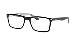 RB5287 OPTICS