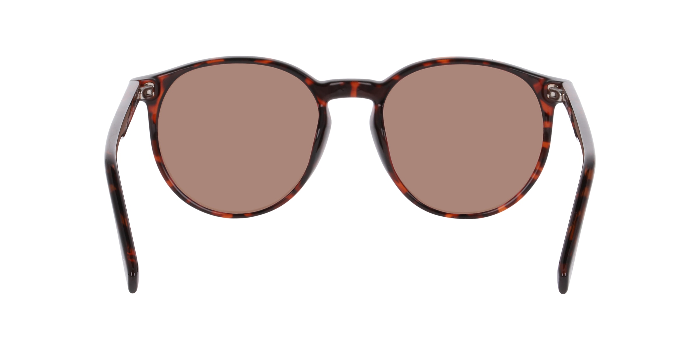 Clearly Sunglasses TELEMAIN