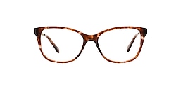 kam dhillon Glasses rayna