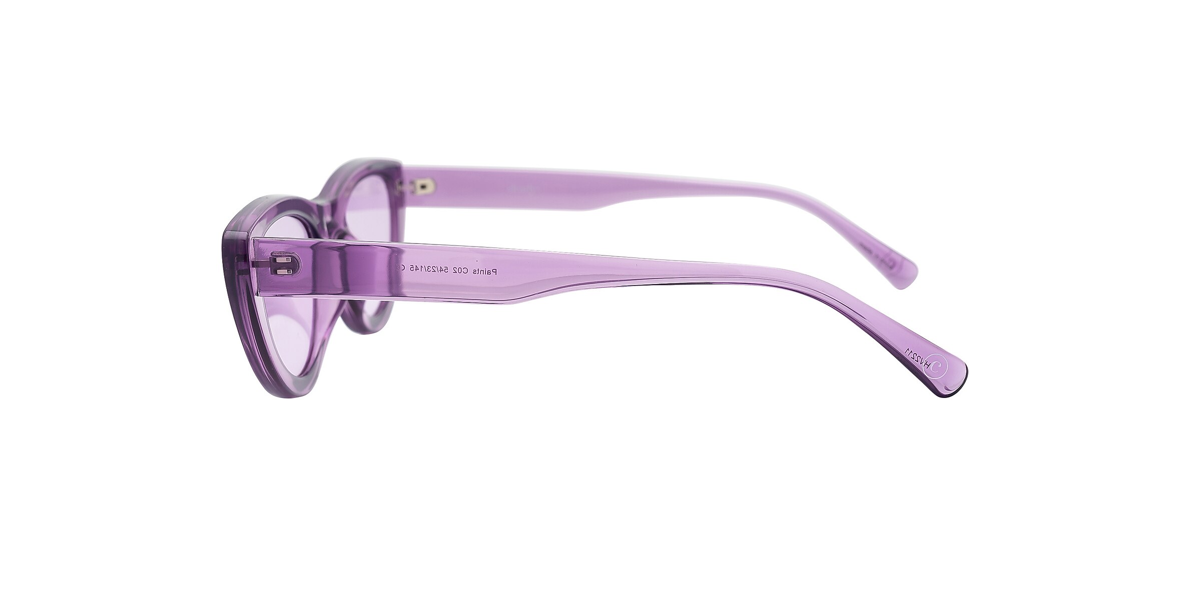 Clearly Sunglasses PAINTS