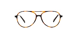main and central Glasses trim