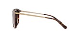 HC8272 L1097